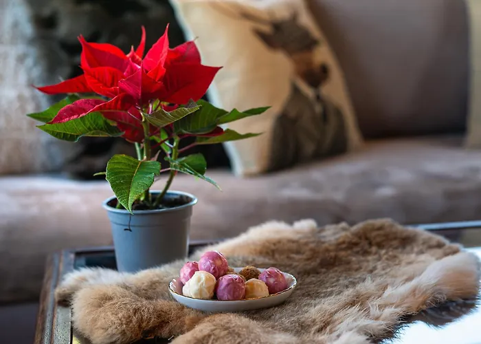 Livadi Cozy Villa